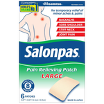 6-Count Salonpas Pain Relieving Patch