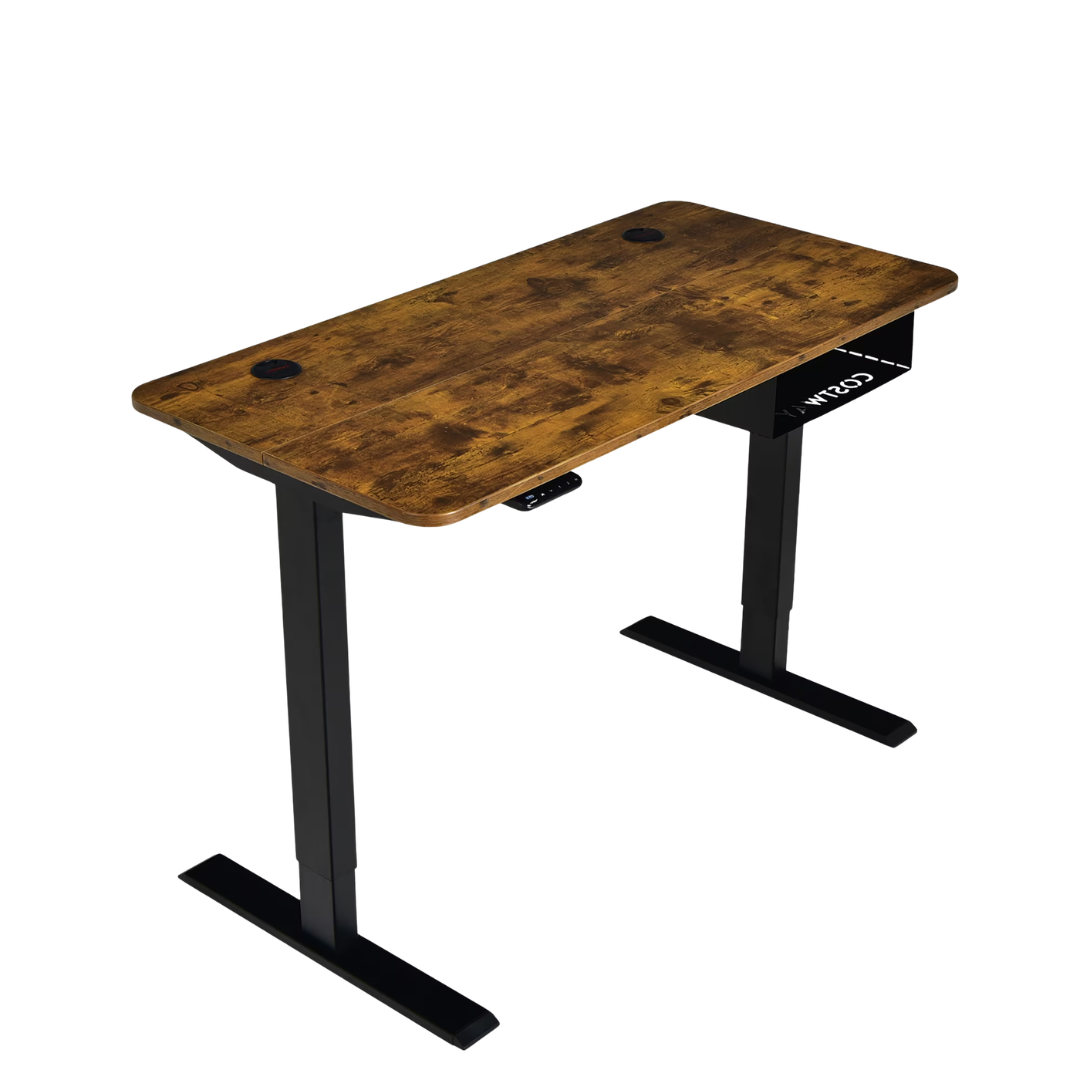Costway 48'' X 24'' Height Adjustable Electric Standing Desk
