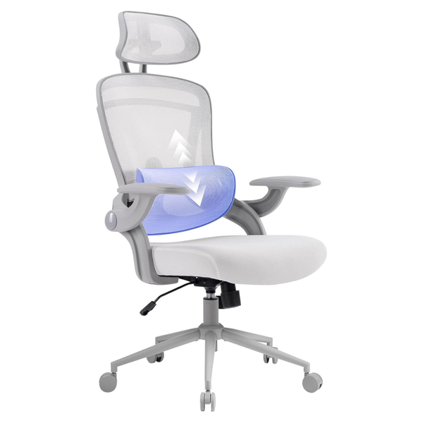 ErgoFit Ergonomic High Back Mesh Office Chair