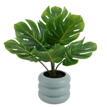 13.5'' Indoor Artificial Monstera With Bubble Vase