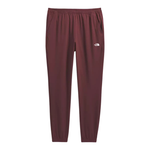 The North Face Men's Wander 2.0 Jogger (Sumac)