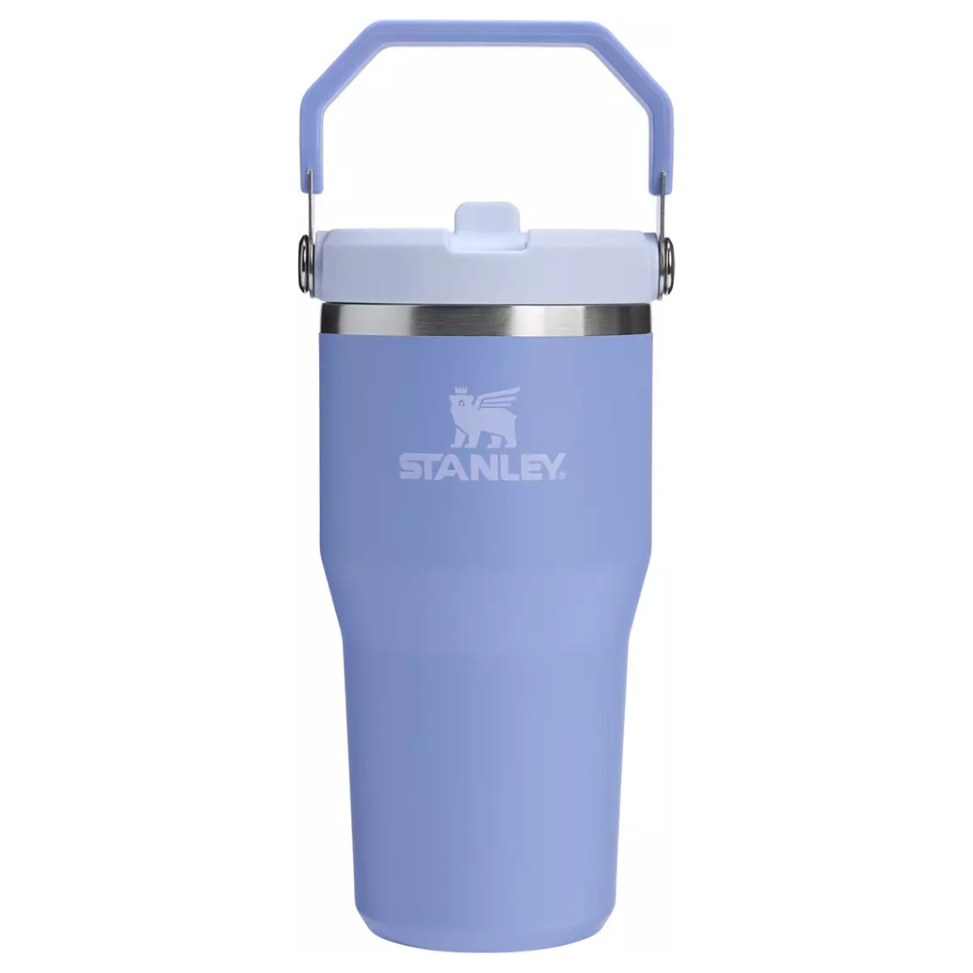 20 oz Stanley IceFlow Flip Straw Tumbler With Handle