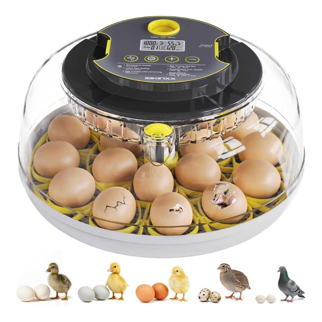 18-Egg Ibkinxx Egg Incubator With Auto Turning, Temperature & Humidity Control