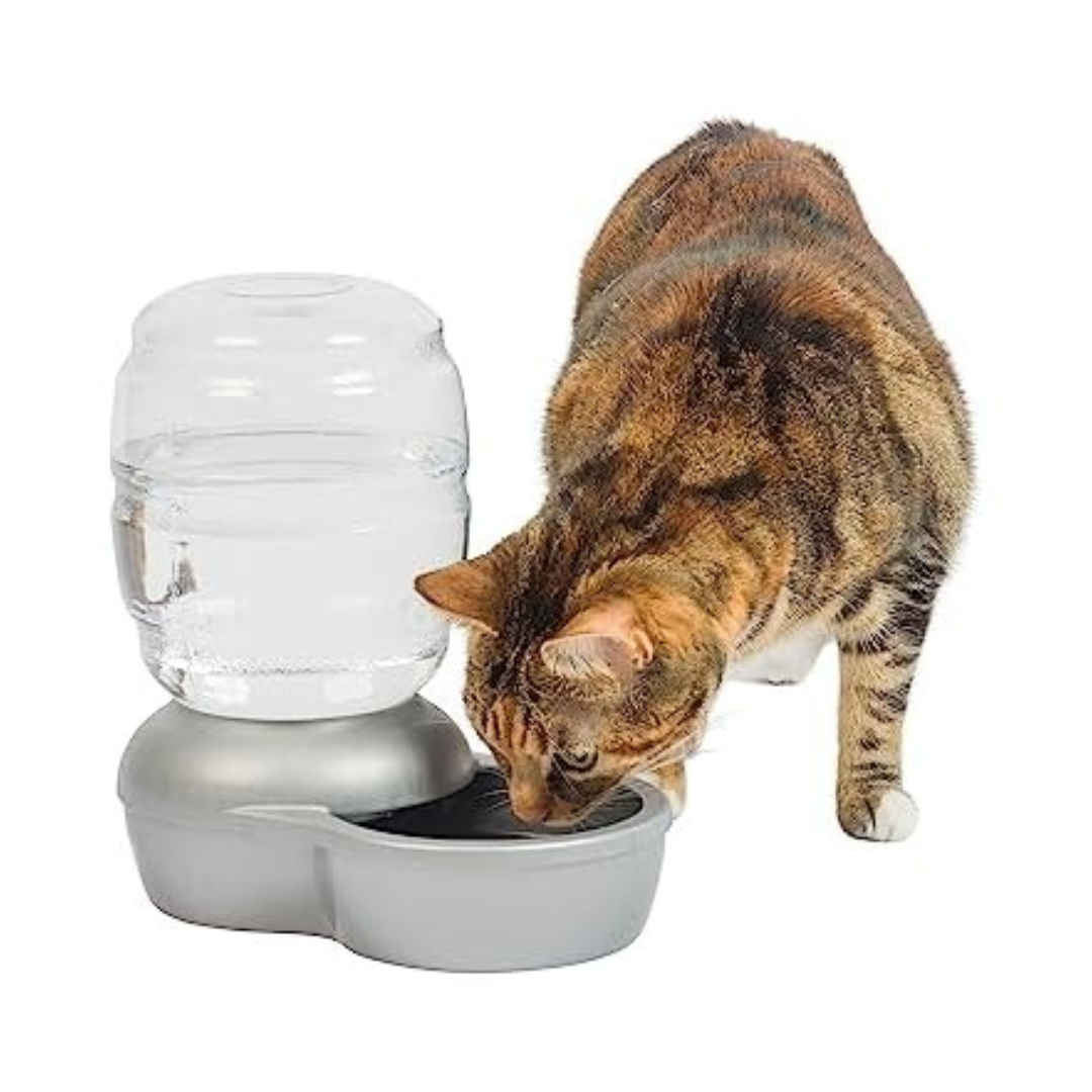 0.5 Gallon Petmate Replendish Automatic Pet Gravity Waterer