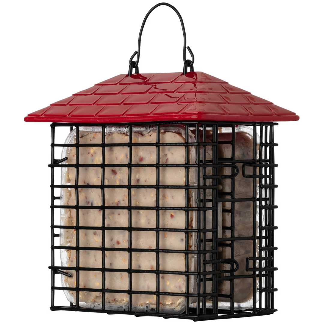 More Birds Double Suet Feeder with Weather Guard