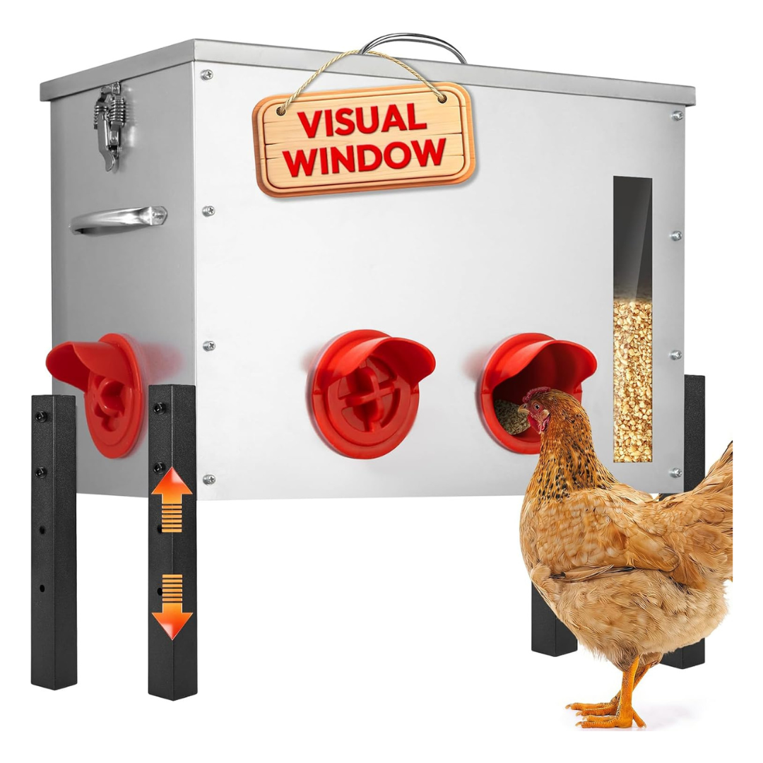 Automatic Chicken Feeder With Viewing Window