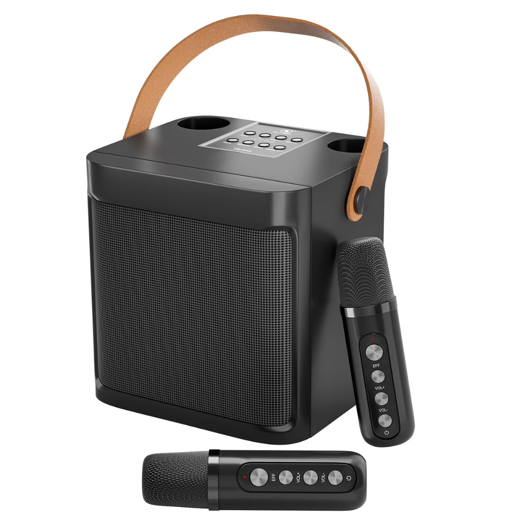 Freefish Handled Karaoke Machine With 2 Mics