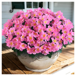8-Bundle Juxdp 14" Artificial Camellia UV-Resistant Silk Flower Bouquets (3 Colors)