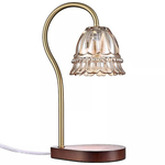 Belle Maison 13" Glass Shade Wood Base Table Lamp