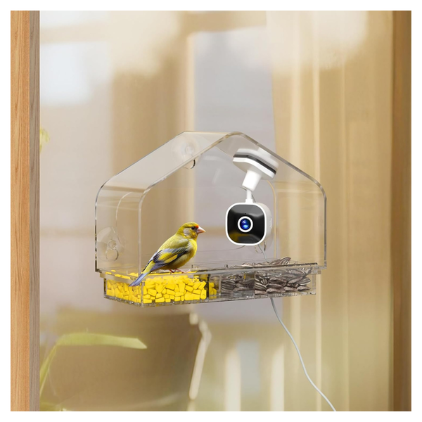 RichBird AI Smart Window Bird Feeder Camera