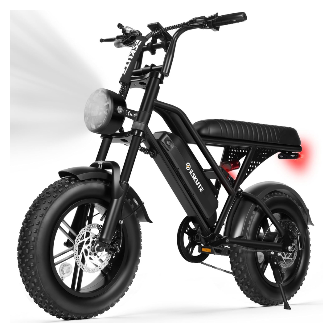 Eskute V100 1500W 28MPH 48V13Ah Dual Suspension Electric Bike