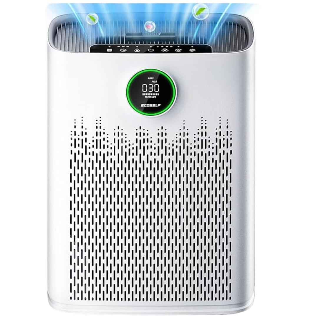 ECOSELF Air Purifier For Large Rooms Up To 2400 Ft