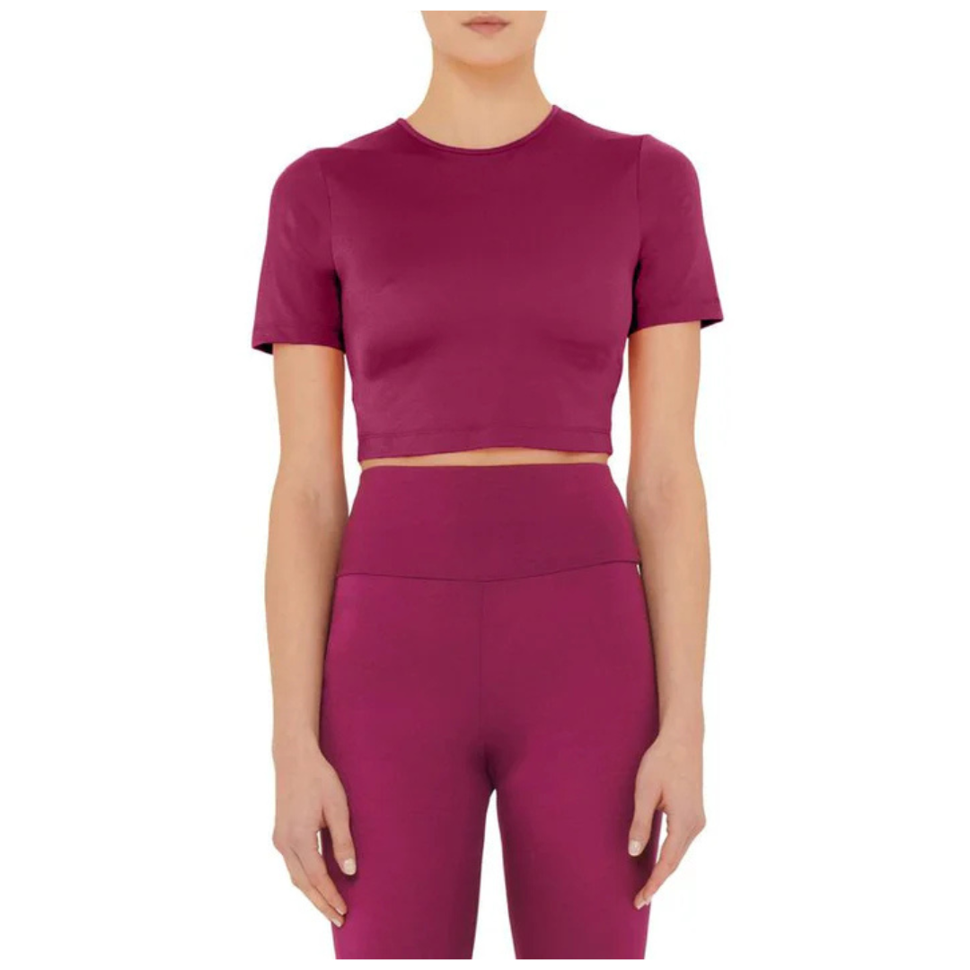 Wolford The Workout Short Sleeves Top (Mineral Red)