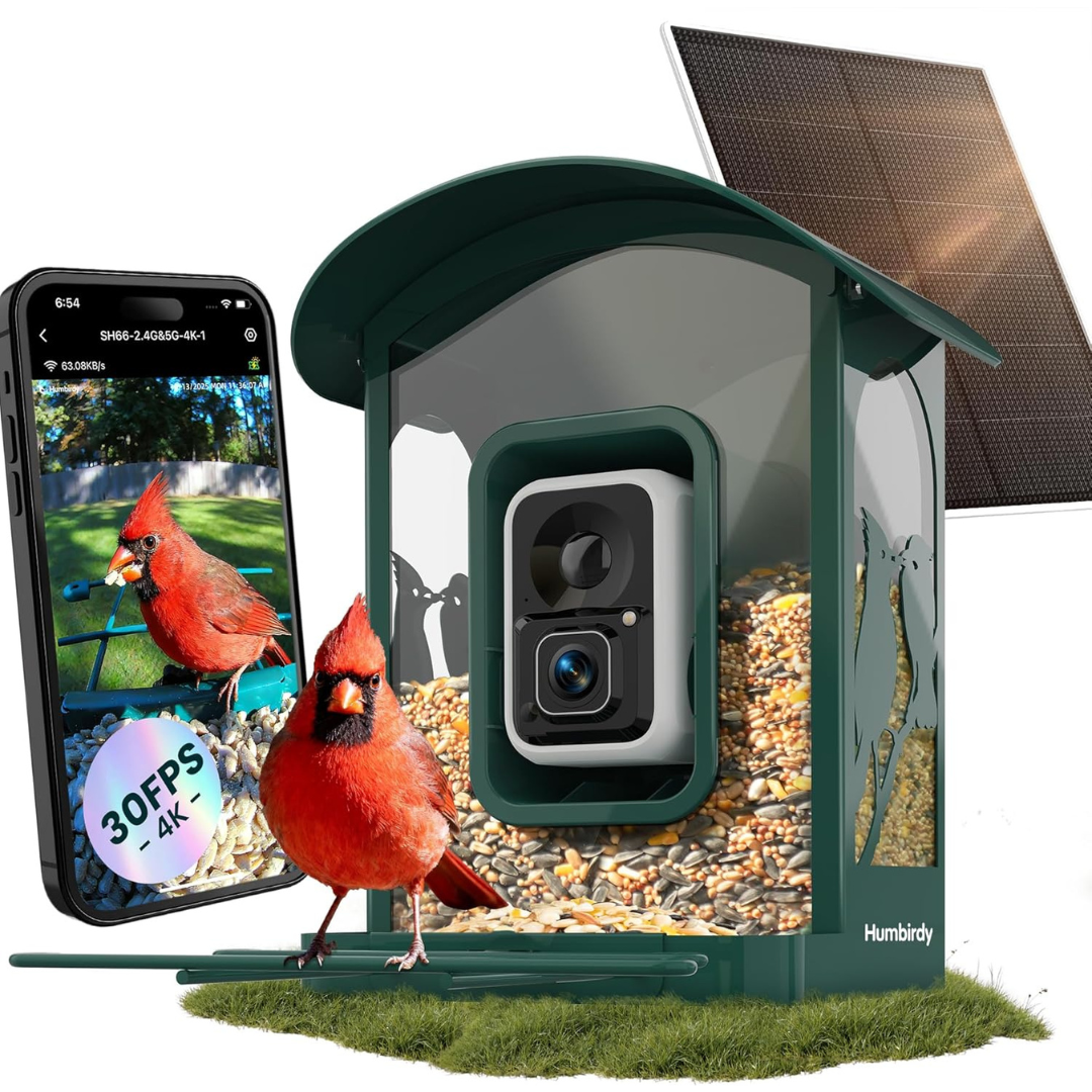 4K HD Video AI Detection Smart Bird Feeder With Camera
