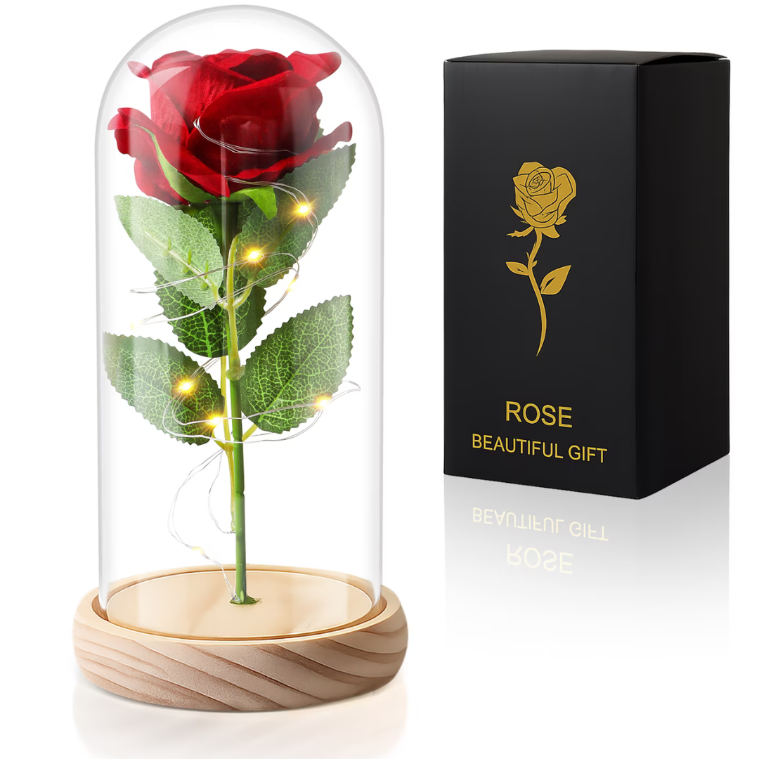 Eternal Rose Flower Dome with LED Light
