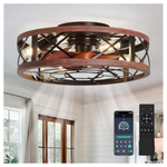 Aqubt 19'' Caged Fandelier Ceiling Fan With Lights & Remote