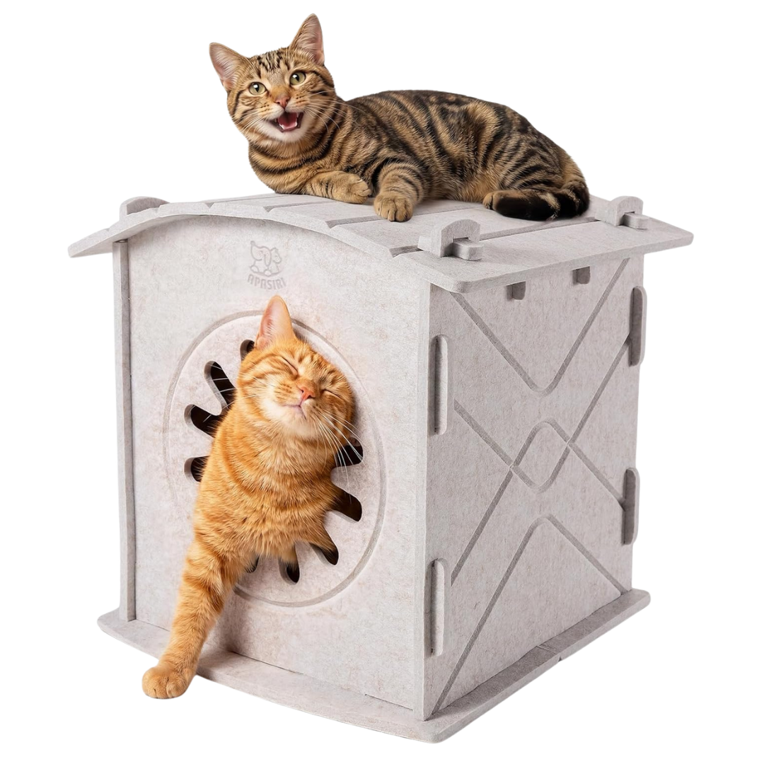 Apasiri Felt Cat House Cave With Scratch-Resistant Insulation