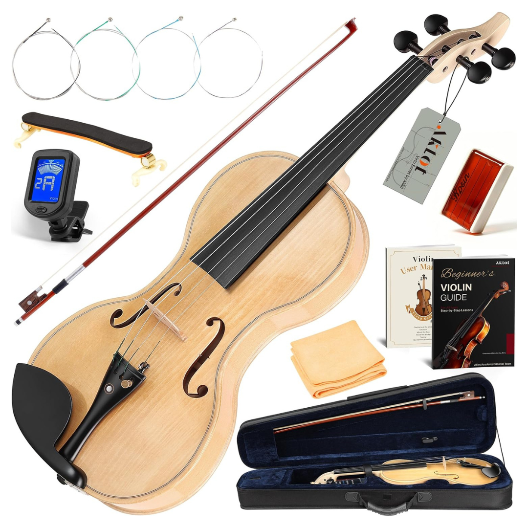 4/4 Full Size Beginner Violin Set With Hard Case