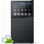 2.6 Cu.Ft Compact Beverage Refrigerator with Freezer