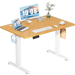 48" DUMOS Electric Standing Desk With Adjustable Height
