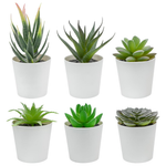 Set Of 6 Artificial Succulents Plants In Pots
