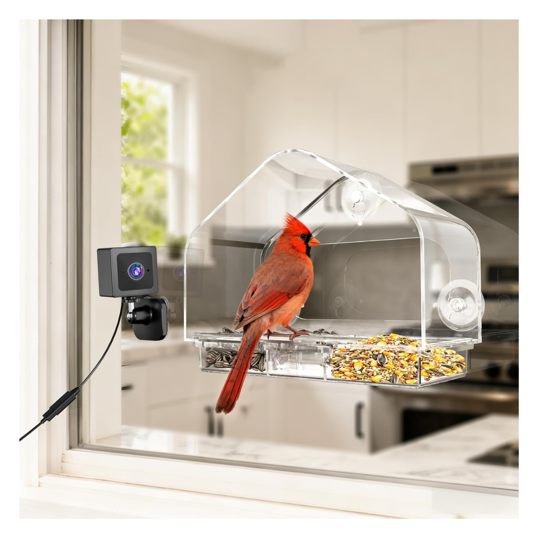 RichBird Smart Clear Window Bird Feeder W/ Camera & Suction Cups