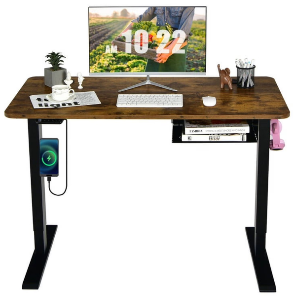 Resenkos 48" Electric Height Adjustable Standing Desk