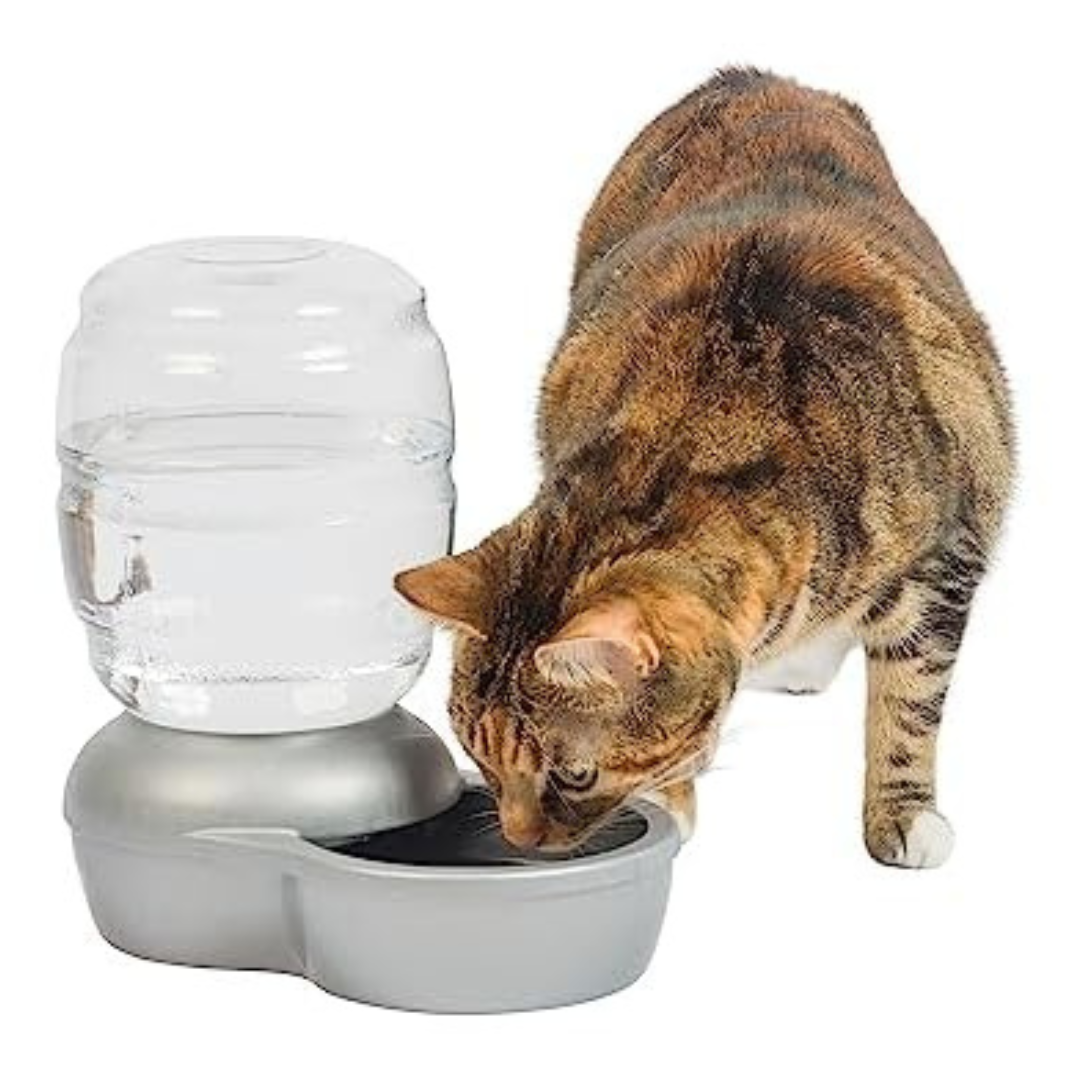 0.5 Gallon Petmate Replendish Automatic Pet Gravity Waterer
