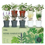 33-Piece Indoor 10-Herb Garden Kit