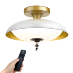 Outdoor Motion Sensor Ceiling Light with Remote