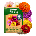 Home Grown Non GMO 524 Flower Zinnia Dahlia Seeds Pack