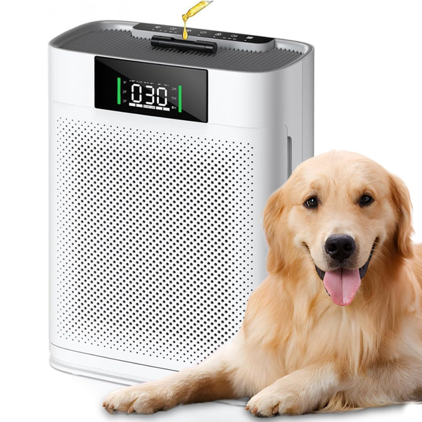 Honeyuan Large Quality Sensor Air Purifiers