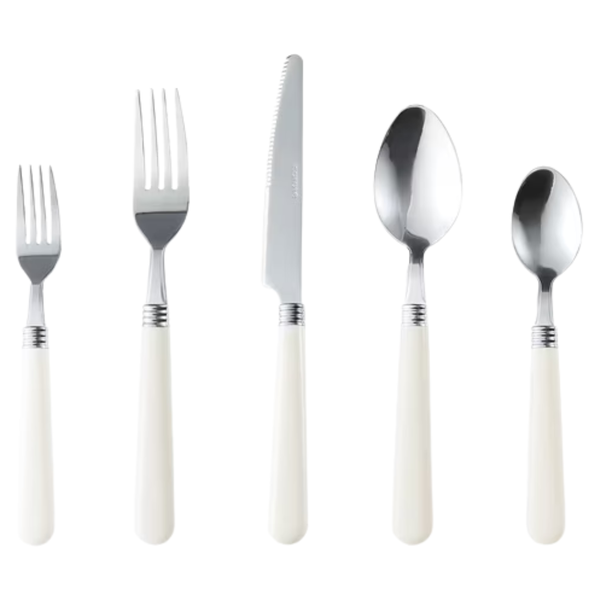 Carote 20-Piece Stainless Steel Flatware Sets For 4