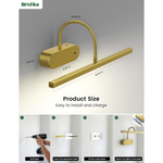 Rechargeable Picture or Art Battery Operated Light