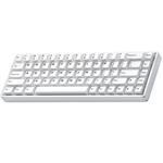 Akko MOD68 8k Rapid Trigger Aluminum Wired Gaming Keyboard (2 Colors)
