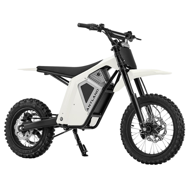 Anyland 3000W Rev 01 Off-Road Electric Dirt Bike (3 Colors)