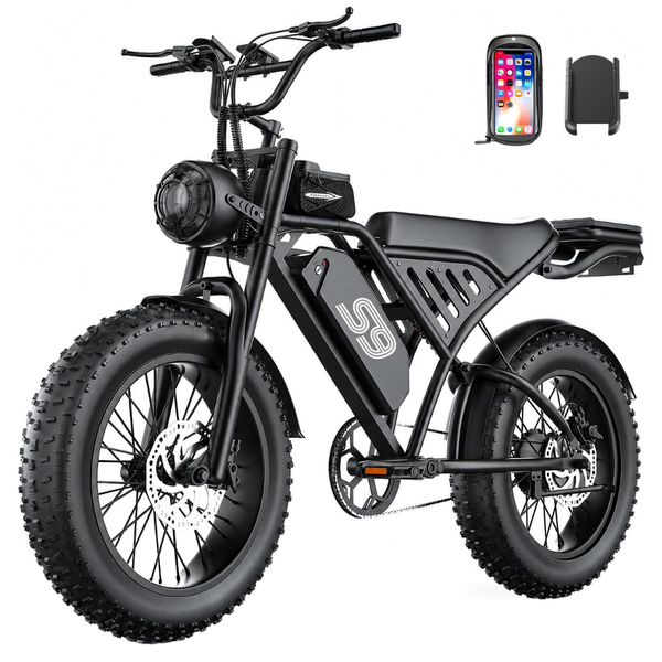 2500W Peak 20" Fat Tire Off Road Electric Dirt Bike