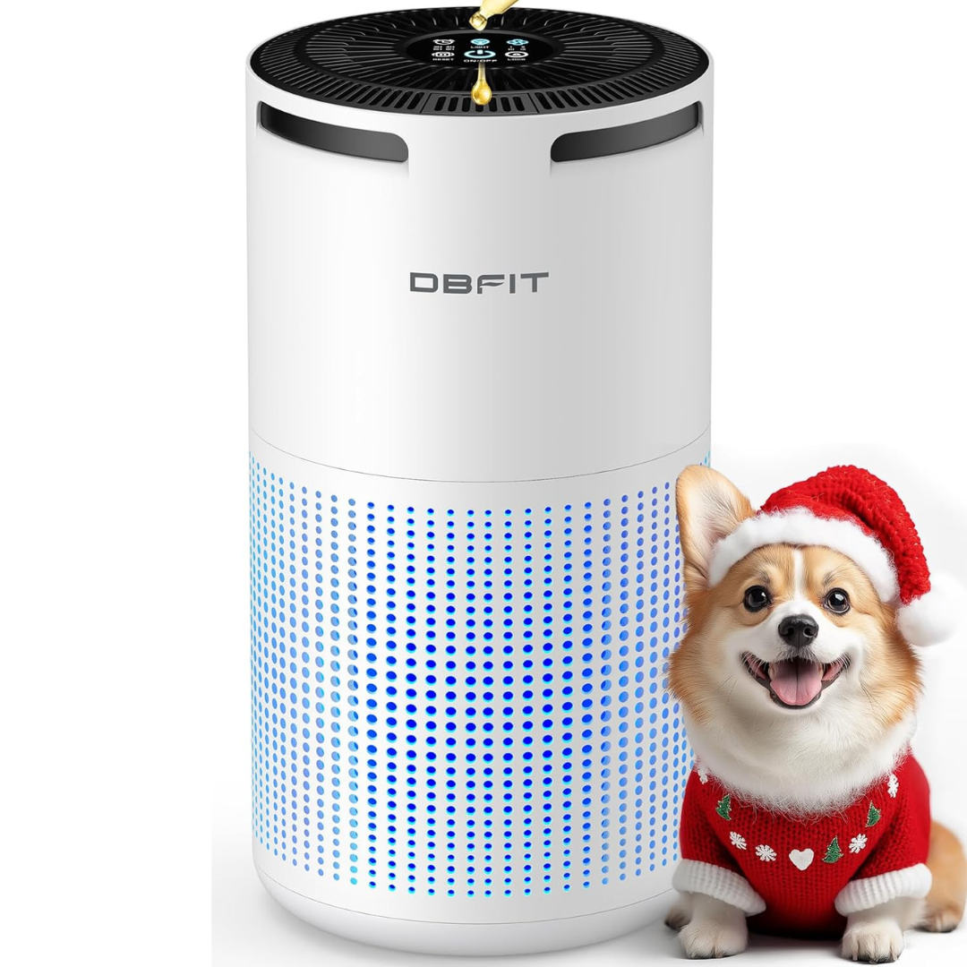 Dbfit H13 HEPA Air Purifier with Aromatherapy & Timer