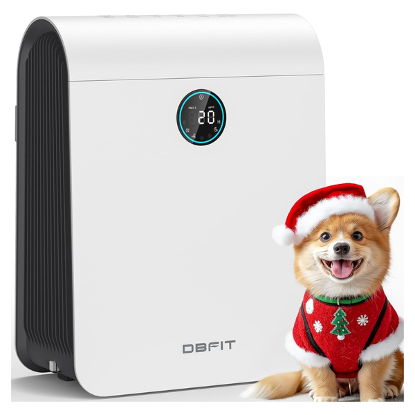 DBFIT H13 HEPA Air Purifier (Up To 2590 Sq Ft)