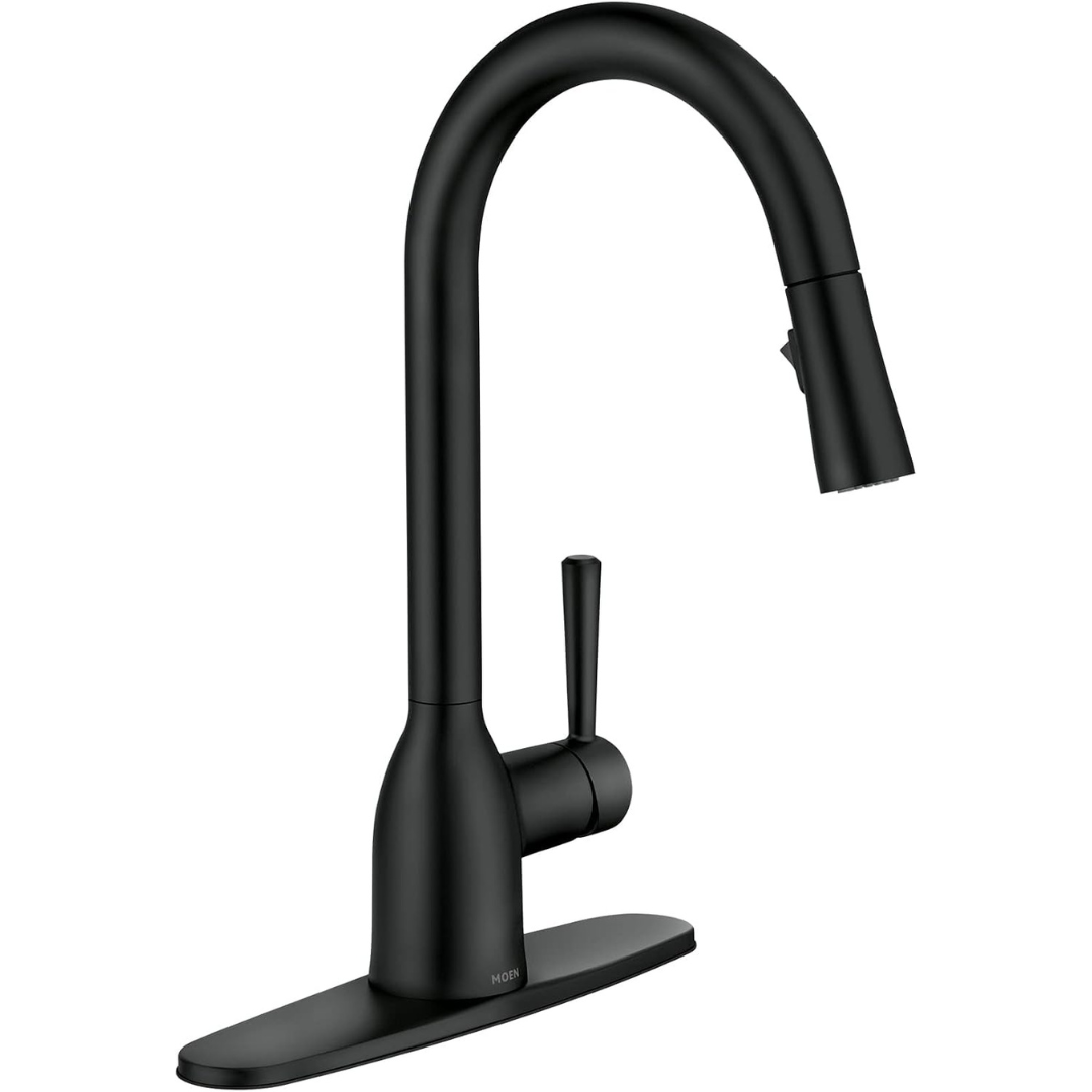 Moen Adler One-Handle High Arc Kitchen Sink Faucet with Power Clean