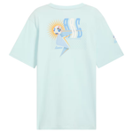 2-Count Puma Conmebol Copa America '24 Argentina Men's Soccer T-Shirt