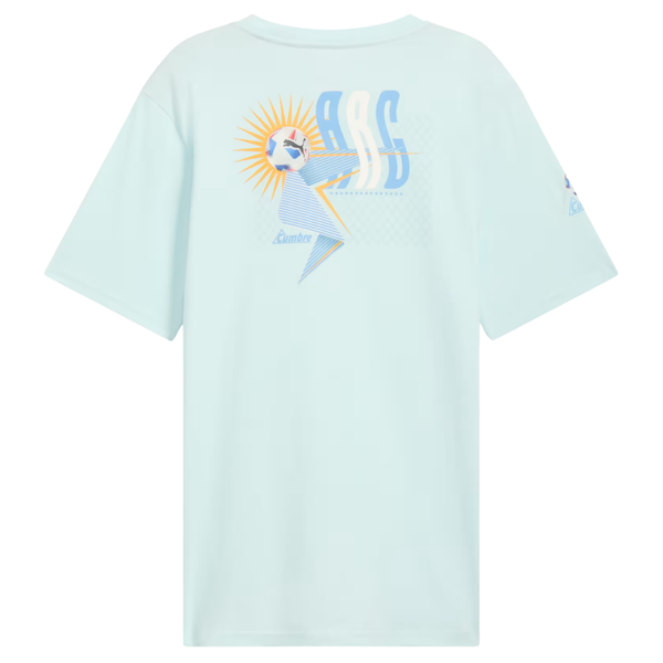 2-Count Puma Conmebol Copa America '24 Argentina Men's Soccer T-Shirt