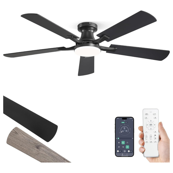 Zmishibo 52" Ceiling Fan With Light, App & Remote Control