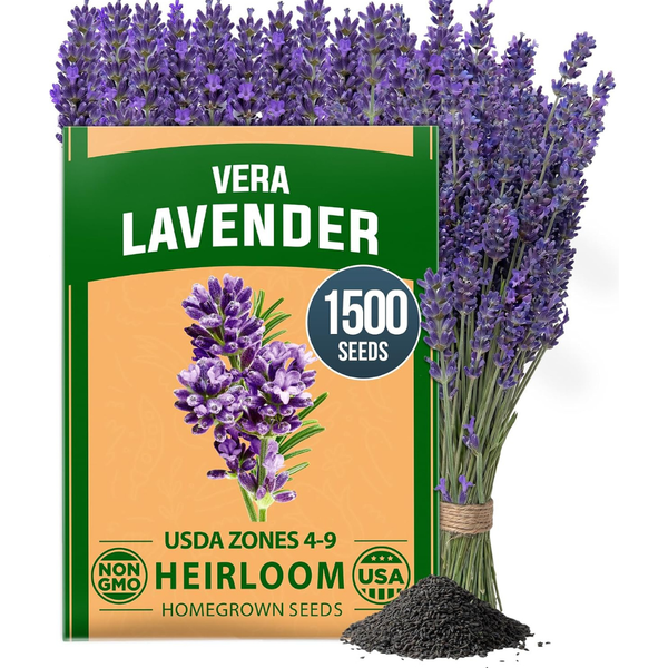 Home Grown 1500+ Non GMO English Lavender Seeds (Various)