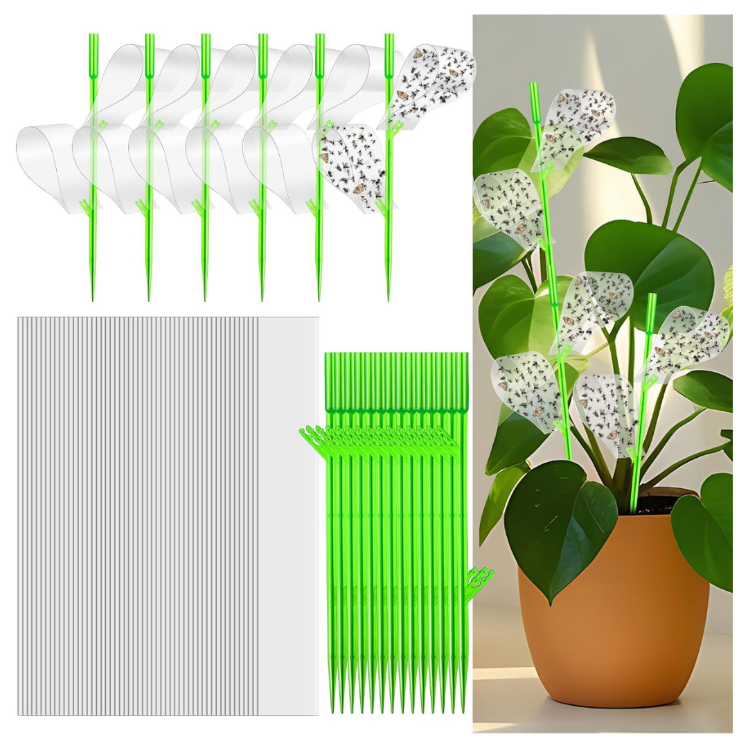 100-Piece Gnat Sticky Traps For Plants