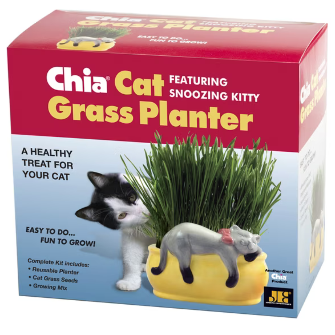 Chia Pet Kitty Cat Grass Decorative Pottery Planter