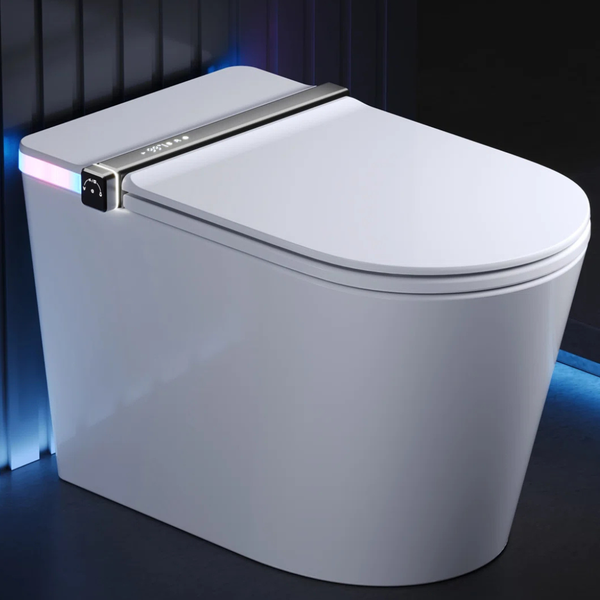 DeerValley Smart Toilet w/Bidet, Heated Seat, Built-in Tank & Pump (DV-1S0360)