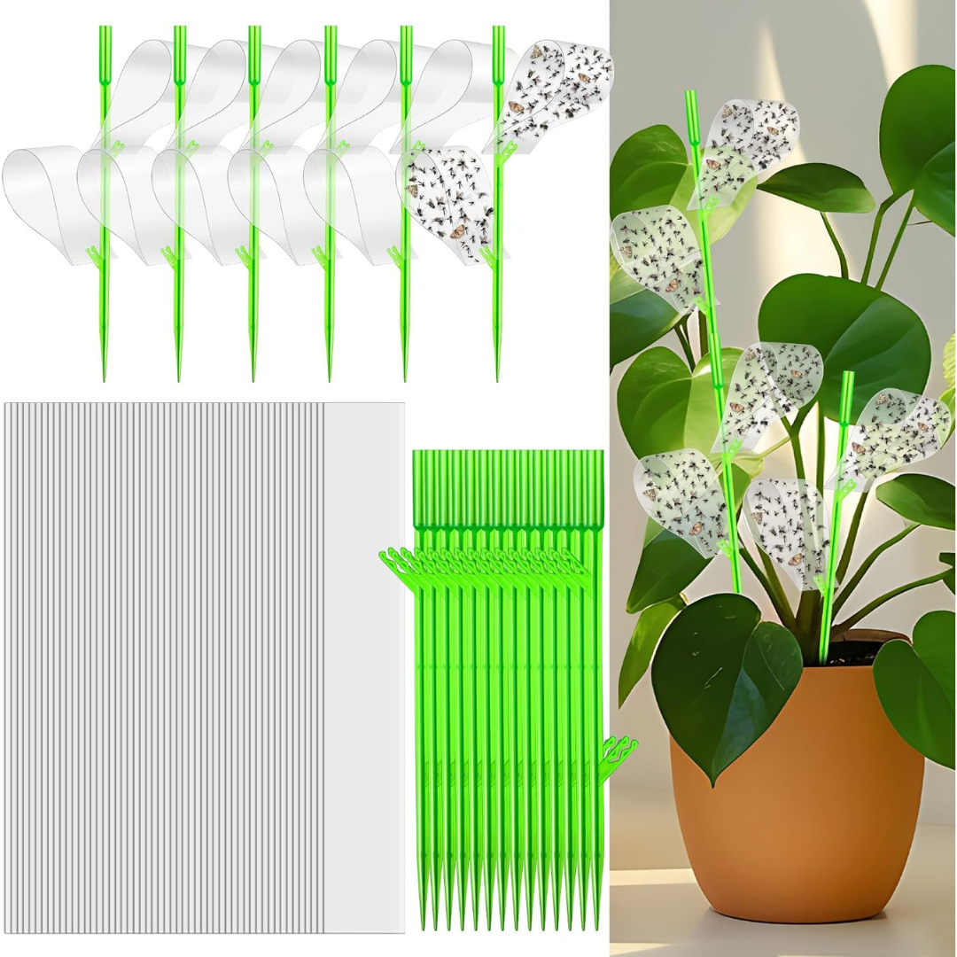 100-Piece Gnat Sticky Traps for Plants