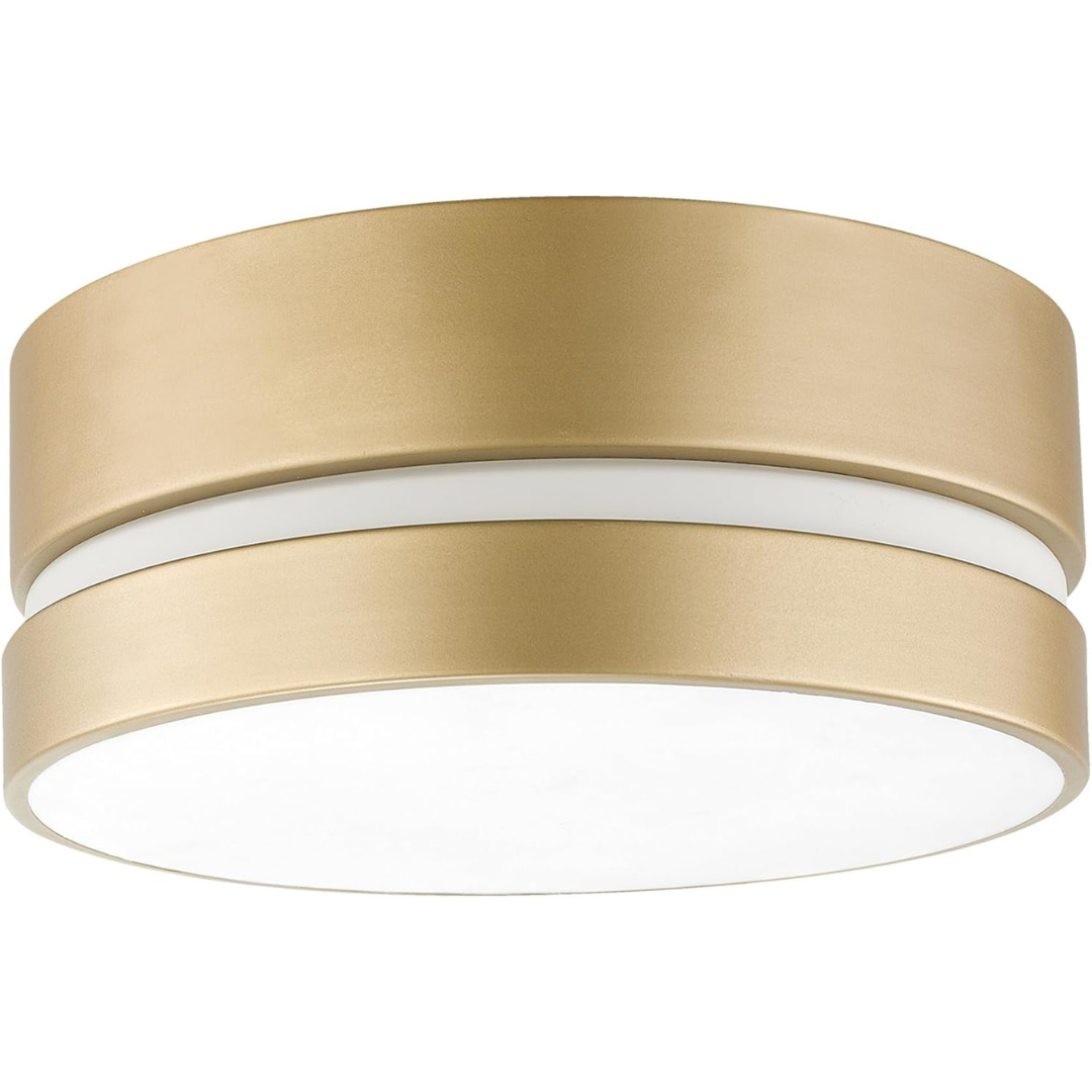 2-Light Flush Mount Ceiling Light Fixture