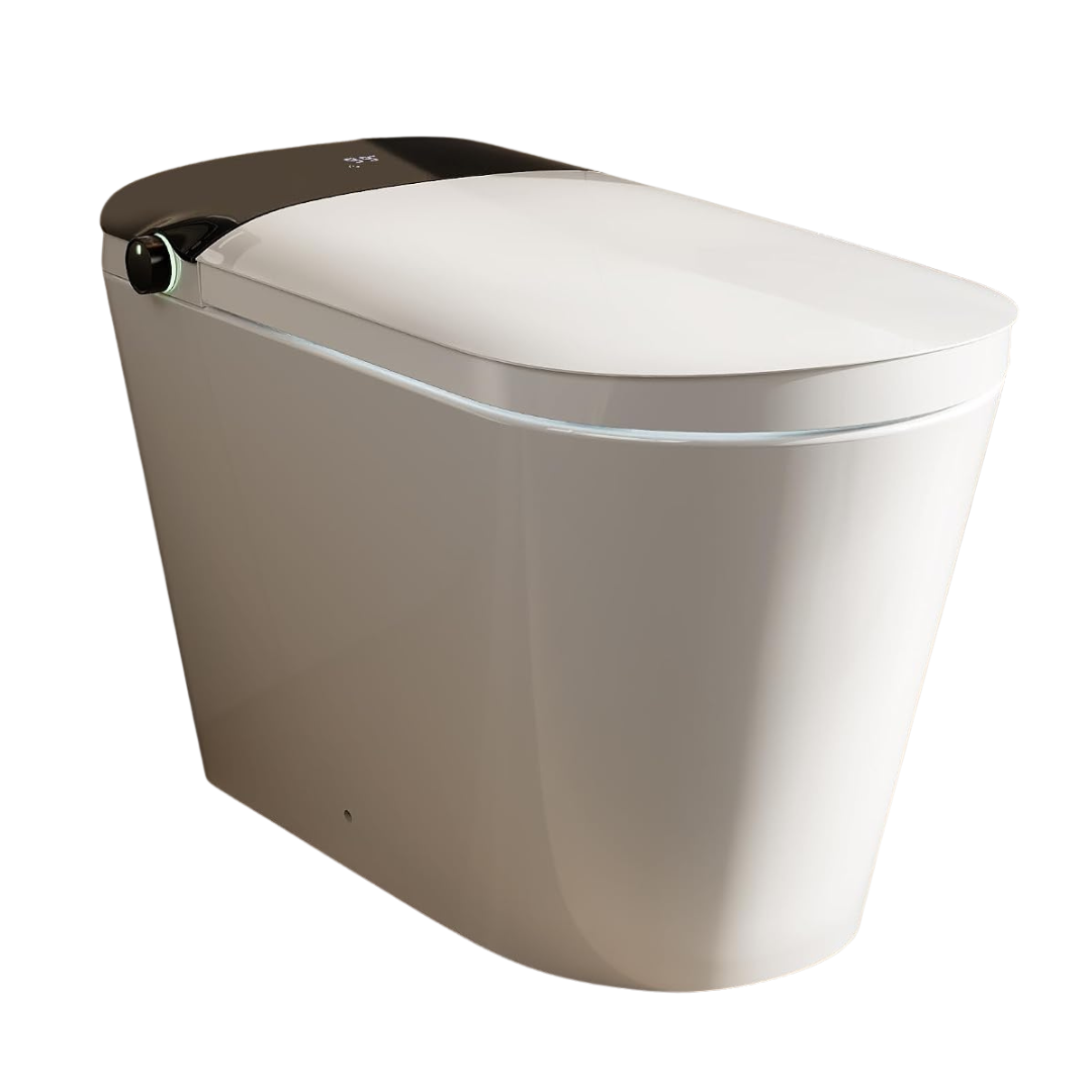 DeerValley 1000g MaP Flush Smart Toilet With Auto Open / Close